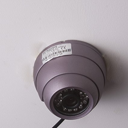 Neewer Purple Day Night Vision 24 Infrared LEDs PAL 700TVL 6mm Wide View Angle Lens Metal CCTV Security Dome Camera with Sony 1/4" CCD Camera Sensor -Ideal for Home Shop Warehouse Office