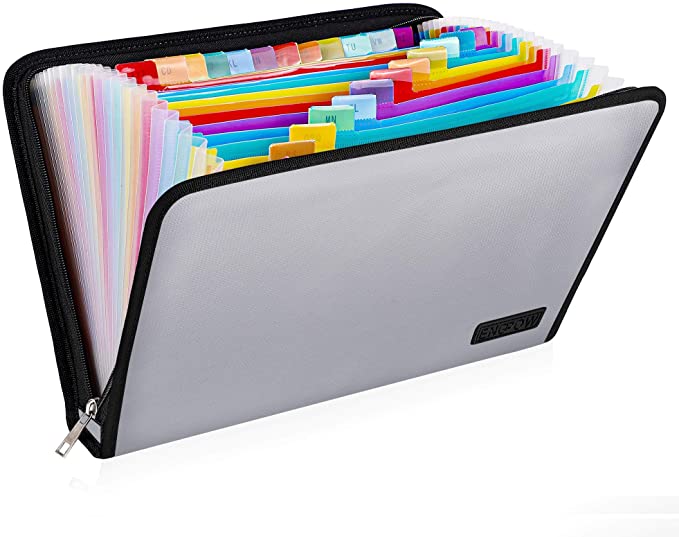 ENGPOW Fireproof File Folder with Labels,25 Colored Pockets Expanding File Folder Accordion Document Organizer with Zipper Closure,Letter Size-Silver