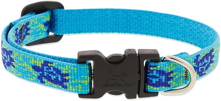 LupinePet Originals 1/2" Turtle Reef 8-12" Adjustable Collar for Small Dogs