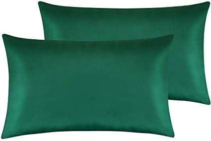 NTBAY Zippered Satin Pillowcases, 2 Pack Soft and Luxury Queen Pillow Cases, 20 x 30 Inches, Dark Green