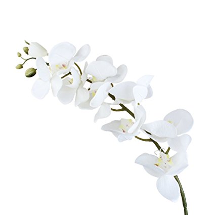OurWarm 1 Silk Artificial Flowers White Phalaenopsis Orchid Flower Wedding Party Home Garden Decorations