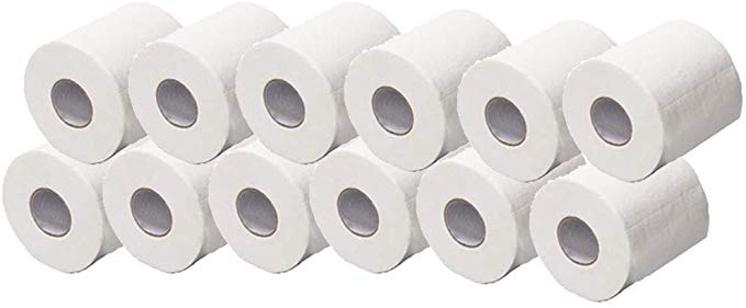 Toilet Paper Ultra Soft Toilet Roll Tissue Roll, 12 Family Rolls Silky, 3Ply Home Kitchen Toilet Tissue, Ultra Strong Clean Touch Roll Paper, Highly Absorbent Toilet Tissue for Daily Use (12 Rolls)