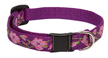 LupinePet Originals 1/2" Rose Garden Cat Safety Collar , 8-12"