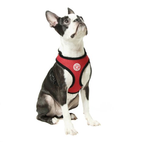 Gooby Soft Mesh Harness for Small Dogs