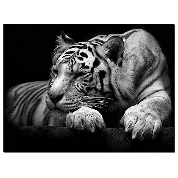 GOUPSKY New Modern Wildlife Wall Painting Animal Black and White Tiger Poster Paint on Canvas Prints Home Decorative Art Picture (24x36inchx1pcs(60x90cmx1pcs))
