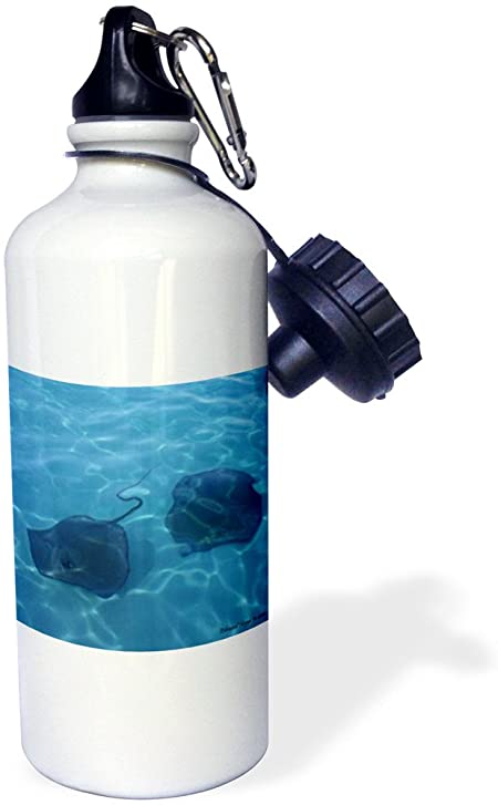 3dRose "Cayman Island Stingrays" Sports Water Bottle, 21 oz, White