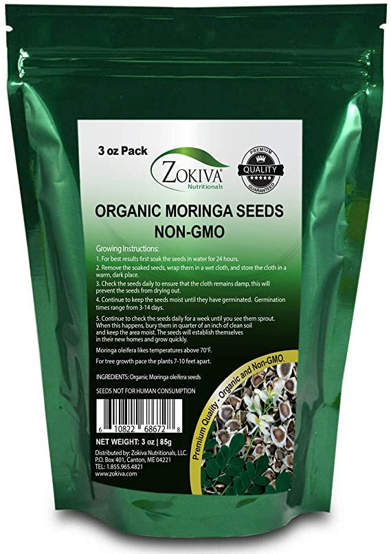 Zokiva Nutritionals - Moringa Seeds Non-GMO Organic - Premium Quality PKM1 Semillas De Moringa Seeds for Planting - Malunggay Drumstick Tree - 3oz Pack in Stand Up Pouch