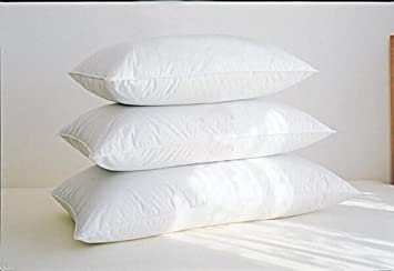 Warm Things Supremium Soft Hungarian Goose Down Pillow (Level 2) White/Queen