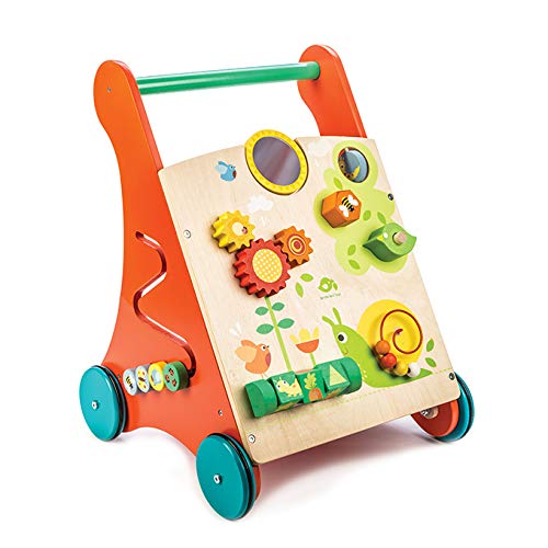 Tender Leaf Toys - Wooden Baby Activity Walker - Playroom and Classroom Toy - Encourages Cognitive Development - Kids 18 months