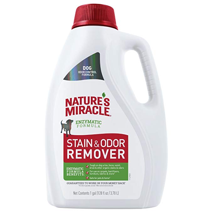 Nature’s Miracle Stain and Odor Remover for Dogs, Enzymatic Formula Dog Stain & Odor Remover