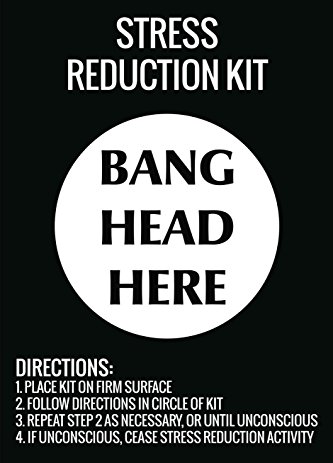 Stress Reduction Kit Bang Head Here Wall Hanging Print Funny Directions Sign