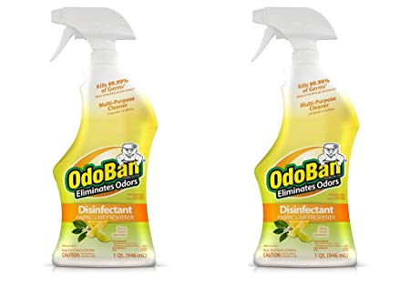 OdoBan Ready-to-Use 32oz Spray Bottle 2-Pack, Citrus Scent - Odor Eliminator, Disinfectant, Flood Fire Water Restoration