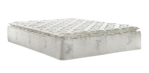 Signature Sleep Signature 13-Inch Independently Encased Coil Mattress with CertiPUR-US Certified Foam King Available in Multiple Sizes