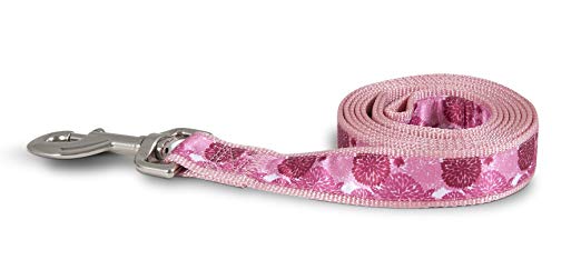 Aspen Pet 11467 Leash for Pets, 1 by 6-Feet, Flower Burst Pink