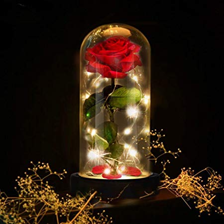 Deluxsa Enchanted Red Silk Rose,Beauty and the Beast Rose with Fallen Petals in A Light Dome,Home/Office or Home Decorations, Anniversary, Valentine's Day Christmas Gift