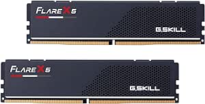 G.SKILL Flare X5 Series (AMD EXPO) DDR5 RAM 96GB (2x48GB) 5600MT/s CL40-40-40-89 1.25V Desktop Computer Memory UDIMM - Matte Black (F5-5600J4040D48GX2-FX5)