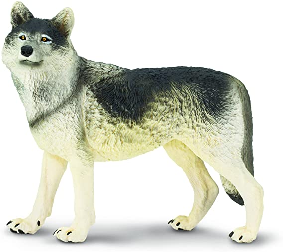 Safari Ltd. Wildlife Wonders – Wolf – Realistic Hand Painted Toy Figurine Model – Quality Construction from Safe and BPA Free Materials – for Ages 3 and Up – Large