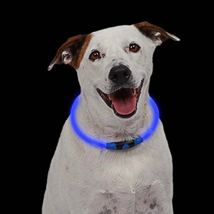 LED Dog Necklace Collar - USB Rechargeable Loop - Available in 6 Colors - Makes Your Dog Visible Safe and Seen