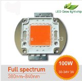 Generic Bridgelux Full Spectrum Grow Lights Chips  Broad 380nm-840nm for DIY Grow Light Indoor Plant Veg and Bloom 100 Watts