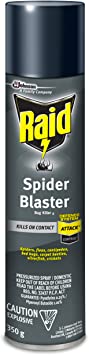 Raid Spider Blaster Killer, Kills Listed Bugs on Contact, For Indoor Use, 350g