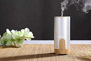 Molshine Portable Silver USB Cylinder Ultrasonic Ionizer Aromatherapy Essential Oil Diffuser Cool Mist Humidifier, Orange LED Light, Whisper-Quiet, Interval Mode, Waterless Auto Shut Off