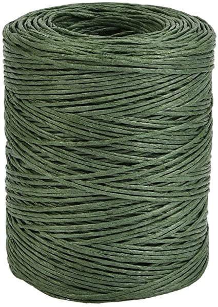 TIMESETL 656 Feet Floral Bind Wire Rustic Vine Wrapping Wire, Paper Covered Waterproof Craft Wrap Twine for Flower Bouquets Stem Wrap Florist (Dark Green)