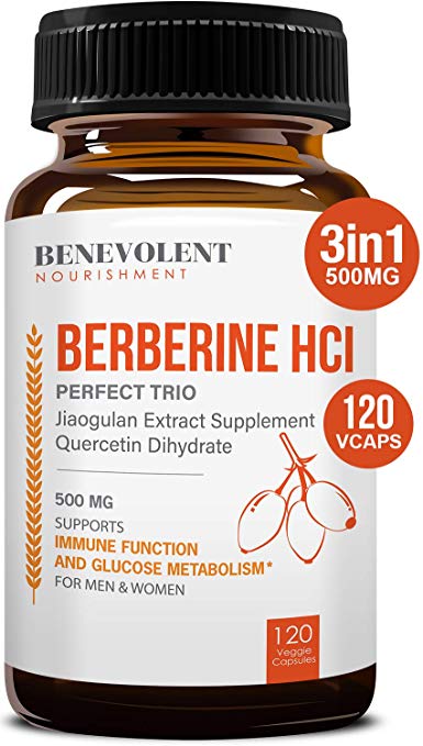 Premium Berberine HCL 500mg - Perfect Trio Complex with Non-GMO Jiaogulan   Quercetin, 120 Capsules, Support Blood Sugar Health & Glucose Metabolism, Immune, Cardiovascular & Gastrointestinal Function