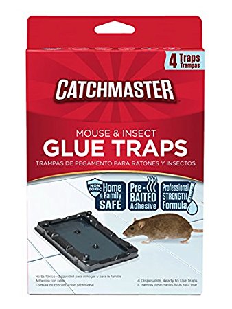 MADE IN USA : Catchmaster 100% Safe Home Pest Control Traps (Pre-Baited Mouse & Insect Glue Boards, 4 Traps)