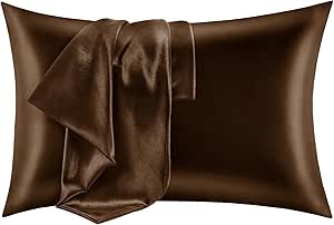 CozyLux Satin Pillowcase for Hair and Skin Standard Set of 2 Soft Pillow Cases Silky Microfiber Bed Pillow Covers Wrinkle Resistant with Envelope Closure(Brown, 20 x 26 Inches)