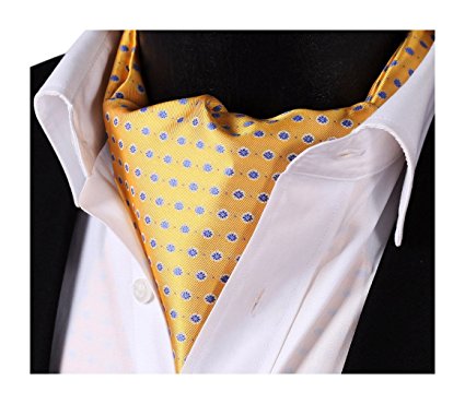 HISDERN Men's Polka Dot Floral Ascot Jacquard Woven Cravat Tie