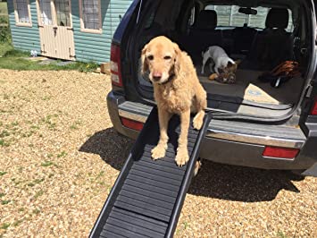 doghealth safety engineered Pet Ramp Lightweight and strong
