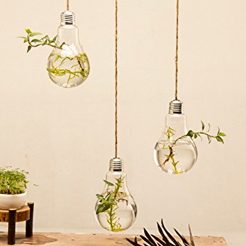 Mkono 3 pack Hanging Light Bulb Shape Glass Vase Flower Plant Pot Container Planter Terrarium Home Decoration