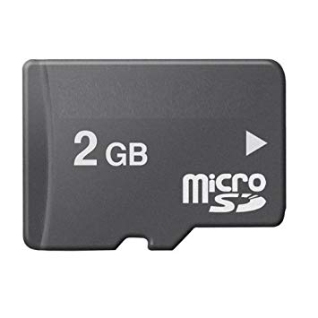 Lowpricenice 2 GB MicroSD Memory Card (Bulk Packaged)