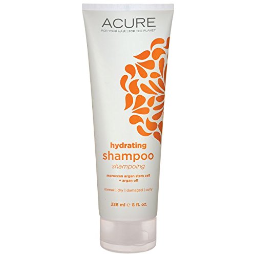 Acure Organics, Shampoo, Moroccan Argan Stem Cell   Argan Oil, 8 fl oz (235 ml)
