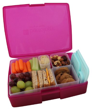 Lunch Box - Leakproof Translucent Raspberry Bento Box with 5 Blue Containers