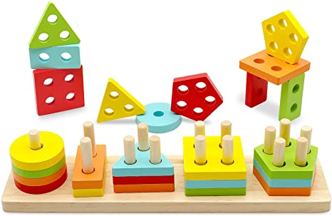 TOLOLO Montessori Toys for 1 2 3 Year Old Boys Girls, Educational Learning Toy for 1-4 Year Old Boy Girl Gifts, Shape Sorter Sensory Toys for Toddlers 1-3, Wooden Color Recognition Stacker Puzzle Toys