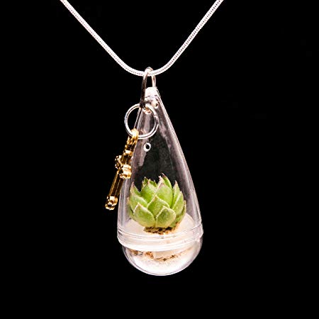 Live Sempervivum Lotus Succulent Plant Necklace, Wearable Mini Succulents Terrarium Necklace