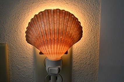 Yellow Mexican Cup Sea Shell Night Light Bathroom Kitchen