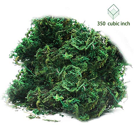 Timoo Fake Moss for Plants, Artificial Green Moss for Flower Plant Garden Lawn Crafts Wedding Decoration