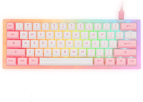 EPOMAKER AKKO ACR61 Prunus Lannesiana 61 Keys Hot Swappable RGB Wired 60% Mechanical Gaming Keyboard with Acrylic Translucent Case, Extra ASA PBT Keys Set for Mac/Win(AKKO CS Jelly Pink Switch)