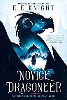 Novice Dragoneer (A Dragoneer Academy Novel Book 1)
