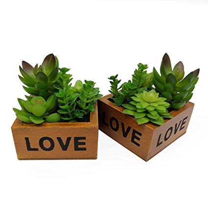 Fake Potted Artificial Succulent Plants in Pots, Realistic Mixed Green Faux Cactus Aloe With Rectangular Wooden Planters Home Office Windowsill Décor,  Set of 2