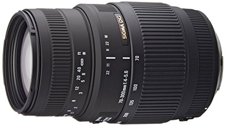 Sigma 70-300mm F/4-5.6 DG Macro Telephoto Zoom Lens for Canon DSLR Camera