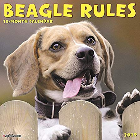 Beagle Rules 2019 Wall Calendar (Dog Breed Calendar)
