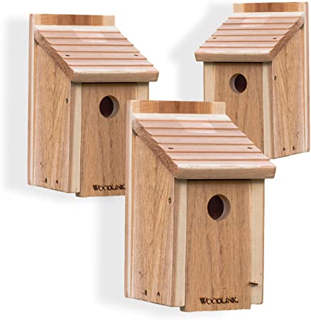 Woodlink Wooden Bluebird House | Inland Cedar Bird Houses for Outside Wild Bird Watching | Gather a Flock of Bluebirds at Your Property with This Pack of 3 Bluebird Houses for Outdoors Hanging