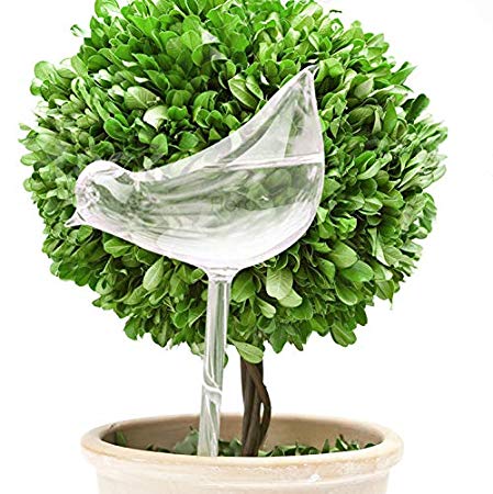 FLORO Self-Watering Bird Globe - Plant Water Bulb - Beautiful Bird Shape Design - Hand Blown Clear Glass - Perfect Watering Stake for Indoor Plants, Hanging or Patio plants or Outdoors