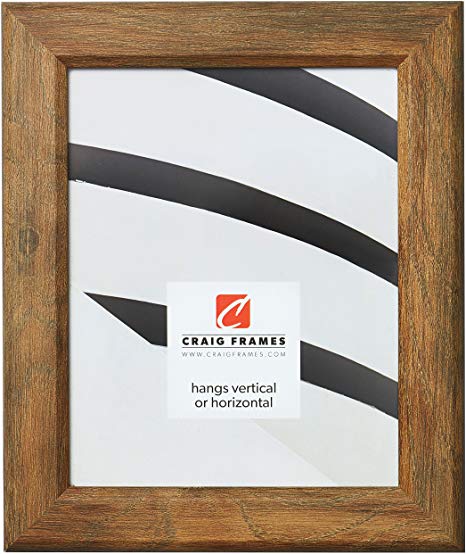 Craig Frames Arthur Picture Frame, 12 x 16 Inch, Brown Barnwood