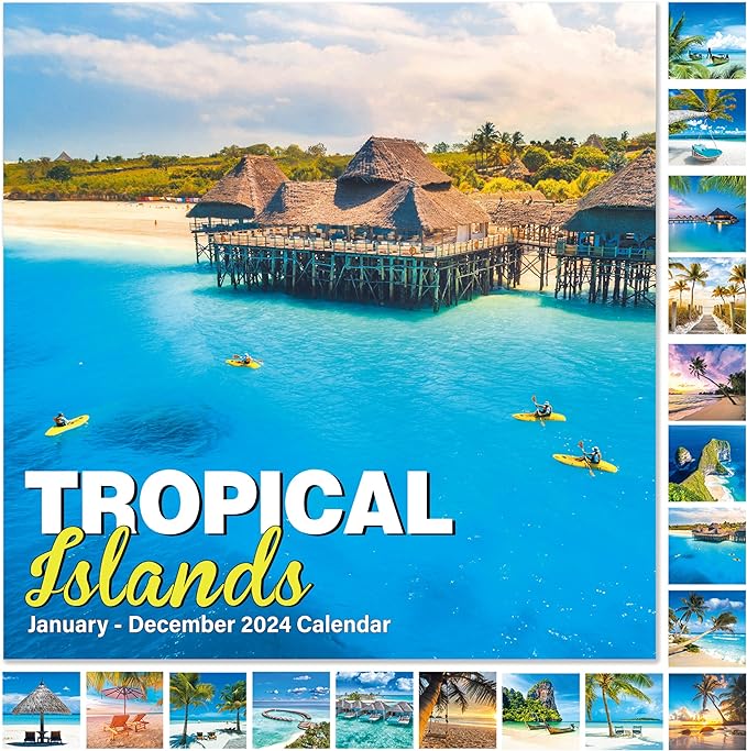 2024 Calendar - 2024 Wall Calendar, 12 Months Calendar from JAN 2024 - DEC 2024, 12" x 24" (Open), 12" x 12" (Closed), Calendar 2024 with Daily Blocks, Perfect Calendar for Planning – Tropical Island