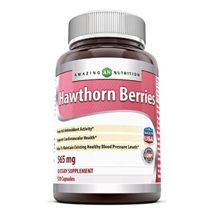 Amazing Nutrition Hawthorn Berries - 100% Pure Hawthorne Berry Extract - Powerful Antioxidant Activity- Supports Cardiovascular Health- 565mg Herb Capsules - 120 Capsules Per Bottle