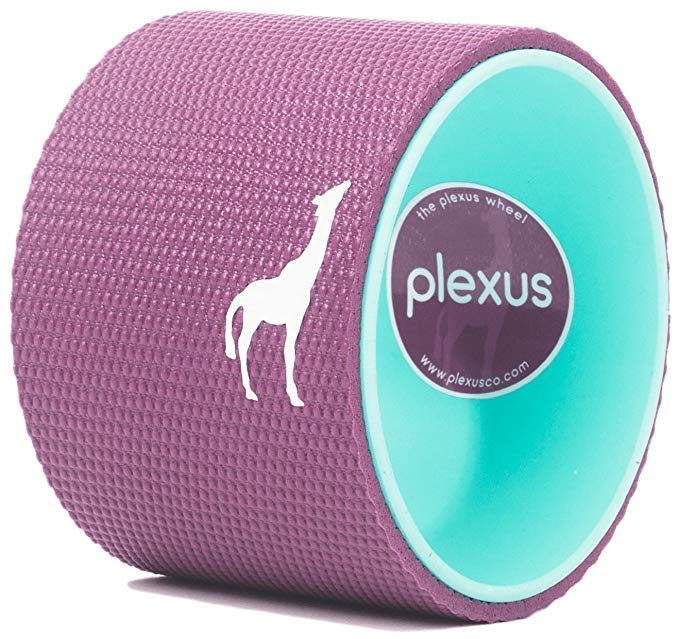 Plexus Wheel 6 Inch - Back Stretch Roller & Back Wheel For Yoga - Great for Classes Or In-Home Use - Optimal Back Roller Yoga Wheel For Back Pain Relief - USA Made